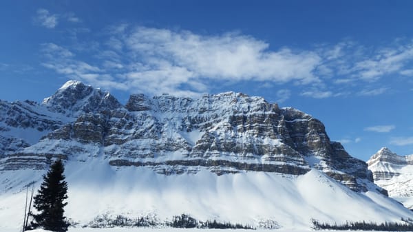 Bow Lake by null