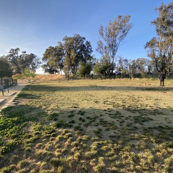Watson Park - Dog Parks Near Me - San Jose, California