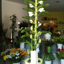 Cocktail de Fleurs