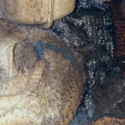 Carriage Inn Conroe - Mold under counter where drinks are prepared