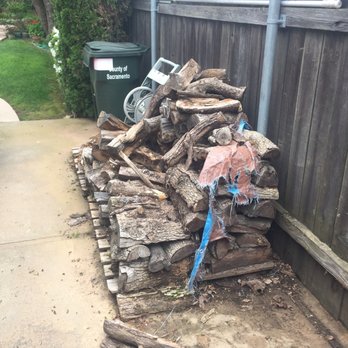 Same Day Service Hauling - Before: Old wood pile with spiders, bugs and rats. - Junk Removal & Hauling Near Me Same Day Service Hauling - Before: Old wood pile with spiders, bugs and rats. - Junk Removal & Hauling Near Me