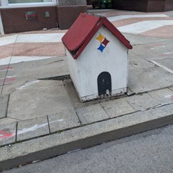 Snoopy Doghouse - Snoopy Doghouse, Pittsburgh