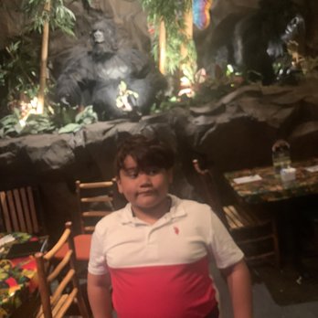 Rainforest Cafe - Great time - American Near Me - Ontario, California