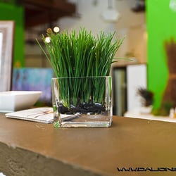 Iwi Fresh Resting Spa