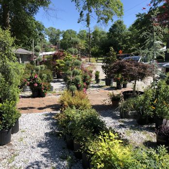 Ashley’s Garden - Ashley's Garden - Landscaping Near Me - Senoia, Georgia