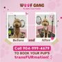 Woof Gang Bakery & Grooming