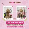 Woof Gang Bakery & Grooming Markets at Town Center gift card