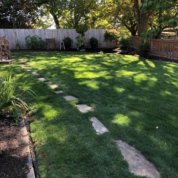 Miguel's Lawn Care - a lawn with a lawn mower - Lawn Services Near Me Miguel's Lawn Care - a lawn with a lawn mower - Lawn Services Near Me