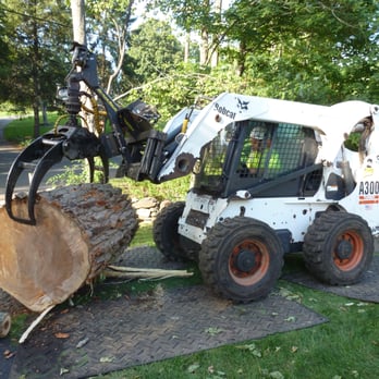 Mountain Tree Service - Tree Services Near Me - Somers, Connecticut Mountain Tree Service - Tree Services Near Me - Somers, Connecticut
