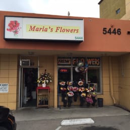 Maria's Flowers Maria's Flowers