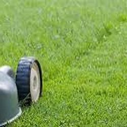 Wyatt's Lawn and Landscaping