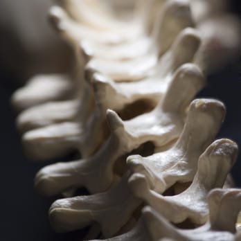 Bernath Chiropractic - Chiropractors Near Me - Chino, California Bernath Chiropractic - Chiropractors Near Me - Chino, California