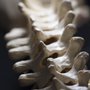 Bernath Chiropractic