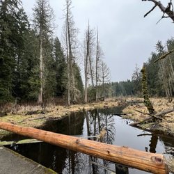Millersylvania State Park - Millersylvania State Park trails