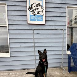 Outer Barks - Store front. My dog! Store sign
