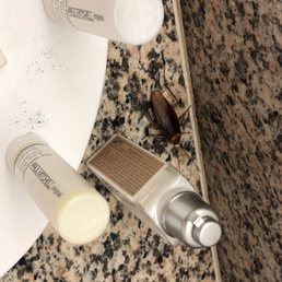 La cucuracha