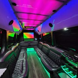 VIP Limousine Service