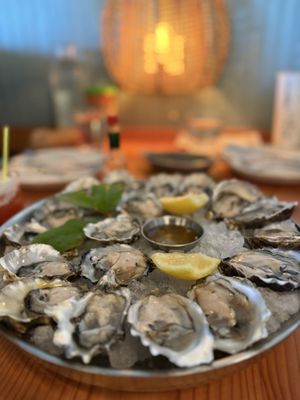 Half Shell by null