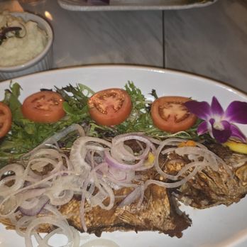Casa De Amore - Escovist fried snapper fish great - Seafood Near Me - Tamarac, Florida Casa De Amore - Escovist fried snapper fish great - Seafood Near Me - Tamarac, Florida