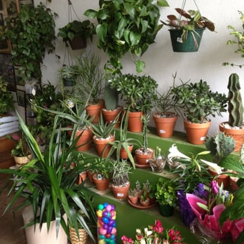 Plants Etc - Florists Near Me - Philadelphia, Pennsylvania