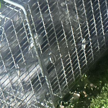 Presto Pest Control - Pest Control Near Me - San Jose, California