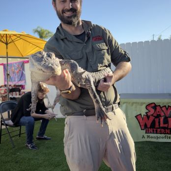 Saving Wildlife International - Community Service/Non-Profit Near Me Saving Wildlife International - Community Service/Non-Profit Near Me