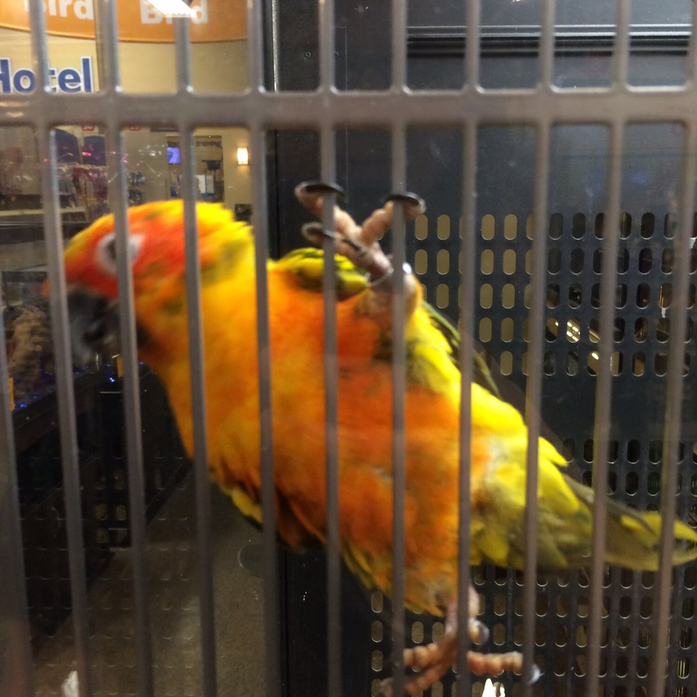 PetSmart - Pet Stores Near Me - Tucson, Arizona