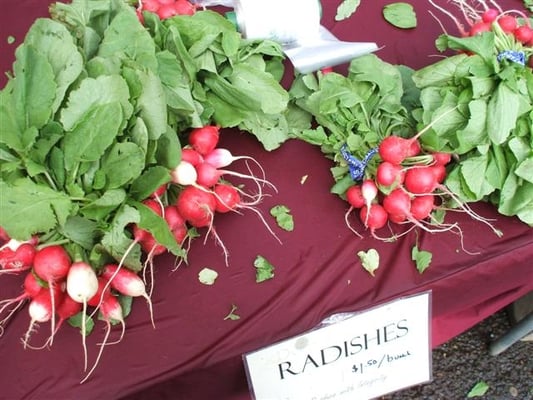 Portland Farmers Market at PSU by null