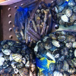 Pescheria Giampiero