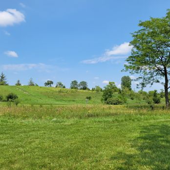 Margreth Riemer Reservoir - Disc Golf Near Me - Palatine, Illinois