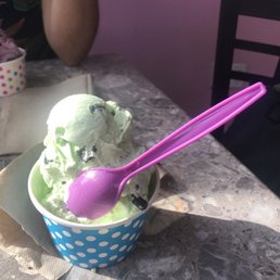 Mint Chocolate chip