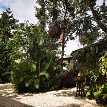 Botanica Garden Cafe - Wunderschöner Gastgarten! - Cafeteria Near Me - Tulum, ROO Botanica Garden Cafe - Wunderschöner Gastgarten! - Cafeteria Near Me - Tulum, ROO