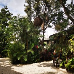 Botanica Garden Cafe - Wunderschöner Gastgarten!
