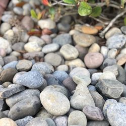 Stone Plus - Colorado River Jacks