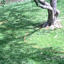 Cableamerica - Exposed cable
