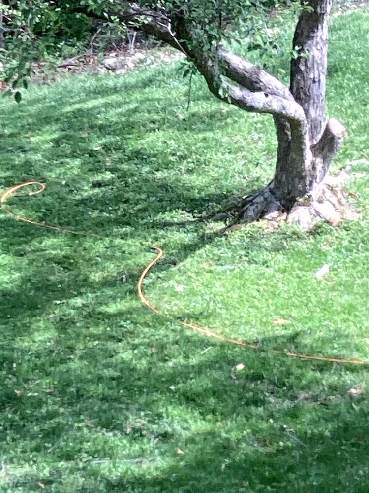 CABLEAMERICA Updated October 2024 46 Reviews Saint Robert