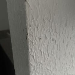 The Blu Hotel Blue Ash Cincinnati, Ascend Hotel Collection - Black stuff all over the walls