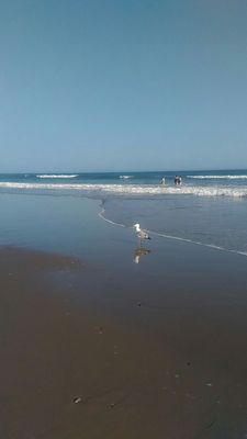 Lawrencetown Beach Provincial Park by null