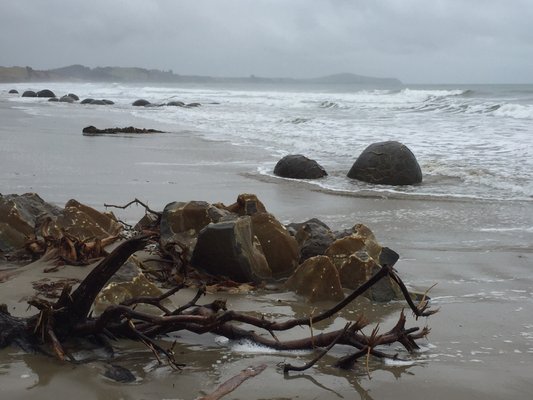 Moeraki Boulders Beach by null