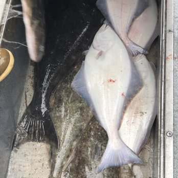 Valdez Outfitters - Our catches of the day. - Boat Charters Near Me - Valdez, Alaska