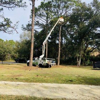 Troyer Tree Service - Tree service Sarasota. Tree trimming. - Landscaping Near Me - Sarasota, Florida Troyer Tree Service - Tree service Sarasota. Tree trimming. - Landscaping Near Me - Sarasota, Florida