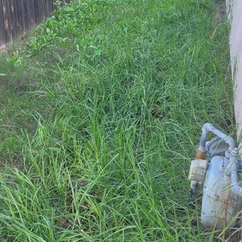 A.G landscape - Landscaping Near Me