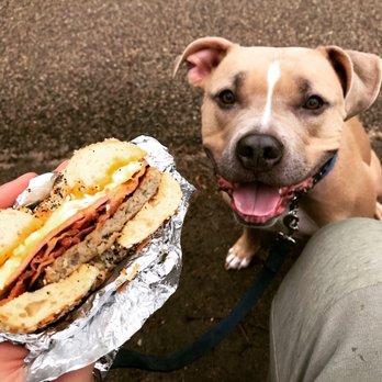 St Paul Bagelry - Luther Van Dross on an Everything Bagel feat. the pupper - Bagels Near Me - Minneapolis, Minnesota St Paul Bagelry - Luther Van Dross on an Everything Bagel feat. the pupper - Bagels Near Me - Minneapolis, Minnesota