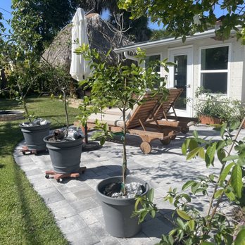 Guccione Architectural Landscape Designs - Landscape Architects or Designers Near Me - Melbourne, Florida Guccione Architectural Landscape Designs - Landscape Architects or Designers Near Me - Melbourne, Florida
