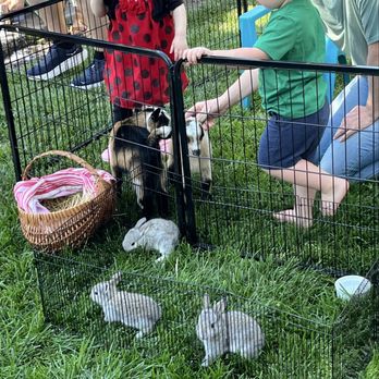 Bring the Barn - Petting Zoos Near Me Bring the Barn - Petting Zoos Near Me