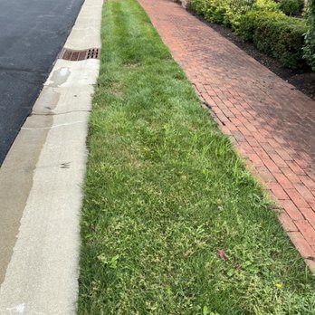 iCare Lawn Care - My neighbors grass is treated by another company is without weeds while mine is the bottom part of the pic and disgusting. - Lawn Services Near Me iCare Lawn Care - My neighbors grass is treated by another company is without weeds while mine is the bottom part of the pic and disgusting. - Lawn Services Near Me