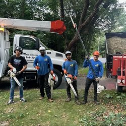VIP Trees Services