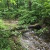 Littleton / Franconia Notch Koa gift card