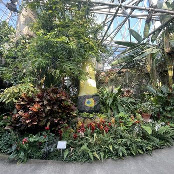San Antonio Botanical Garden - Botanical Gardens Near Me - San Antonio, Texas