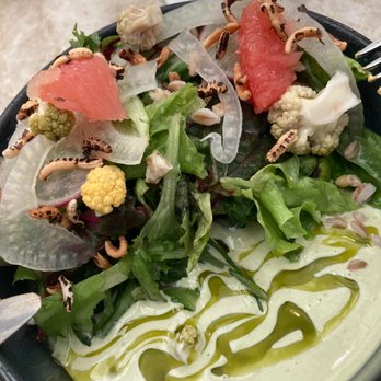 Red Rooster Overtown - Greens and Grains Salad - Cocktail Bars Near Me - Miami, Florida Red Rooster Overtown - Greens and Grains Salad - Cocktail Bars Near Me - Miami, Florida